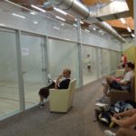 Rezon Plewiska squash. Turniej kategorii C